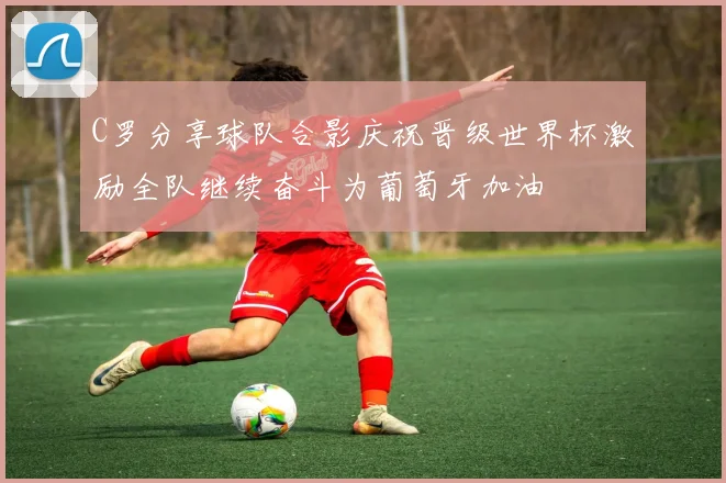 C罗分享球队合影庆祝晋级世界杯激励全队继续奋斗为葡萄牙加油