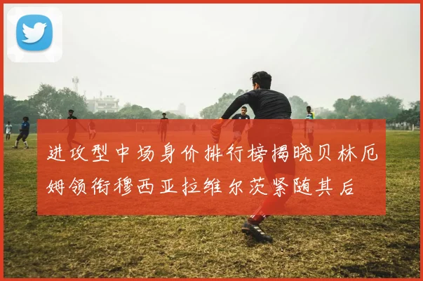 进攻型中场身价排行榜揭晓贝林厄姆领衔穆西亚拉维尔茨紧随其后