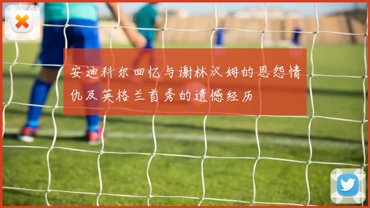 安迪科尔回忆与谢林汉姆的恩怨情仇及英格兰首秀的遗憾经历