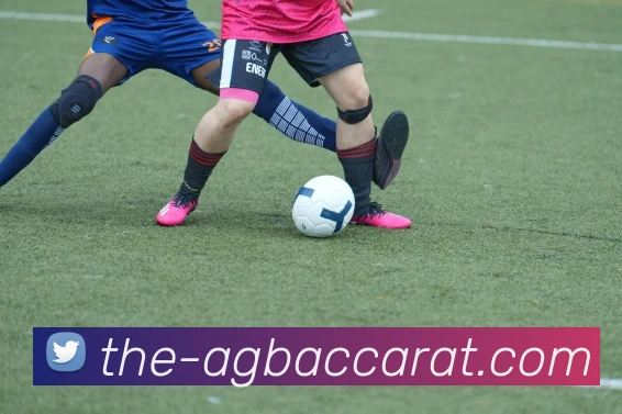 App Interface Preview