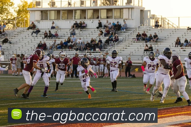 AG百家乐APP 封面图